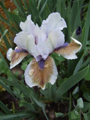 DSCF6281.JPG