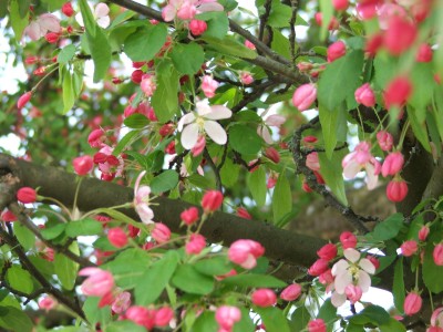 DSCF2570.jpg