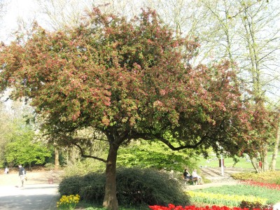 DSCF2569.jpg