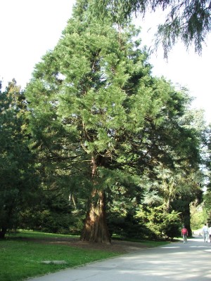 DSCF2565.jpg