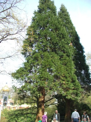 DSCF2457.jpg