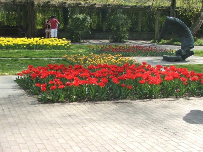 DSCF2443.jpg