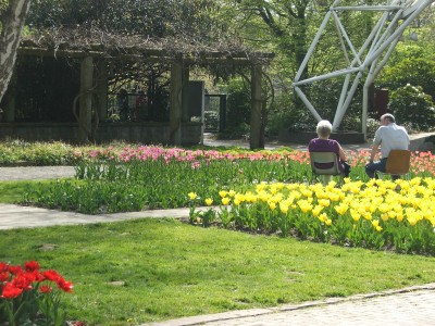 DSCF2442.jpg