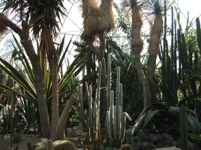DSCF2501.jpg