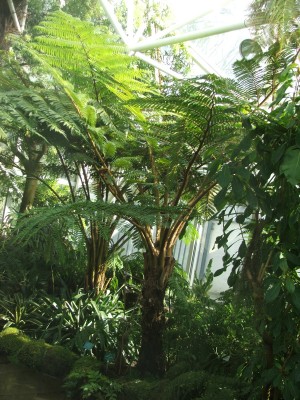 DSCF2527.jpg