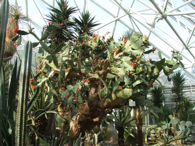 DSCF2523.jpg