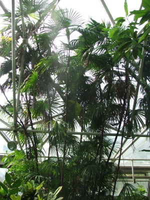 DSCF2484.jpg