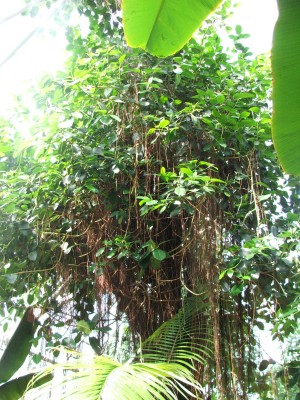 DSCF2483.jpg