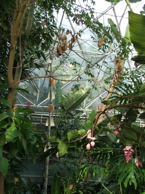 DSCF2468.jpg