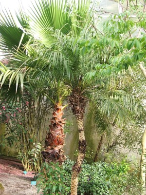 DSCF2545.jpg
