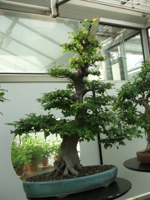 DSCF2496.jpg