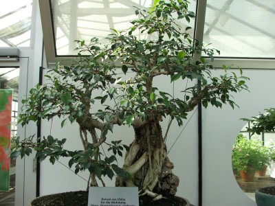DSCF2495.jpg