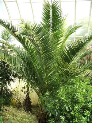 DSCF2549.jpg