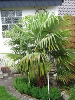 Meine Bilder 200a.jpg