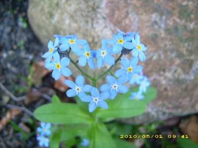 DSCI0019.JPG