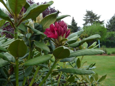 Rhodos 008.JPG