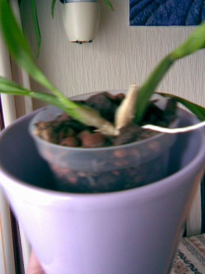 Bild109.jpg