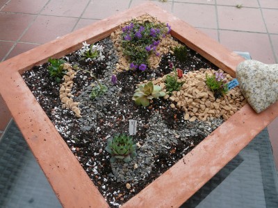 02.5 008.JPG