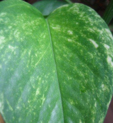 20100322_0001_2.JPG