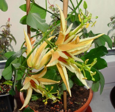 DSC04562neu.jpg