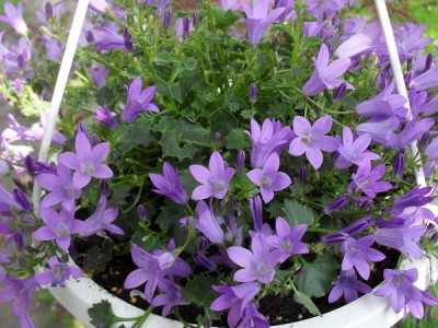 SDC13195_Bildgröße ändern.JPG