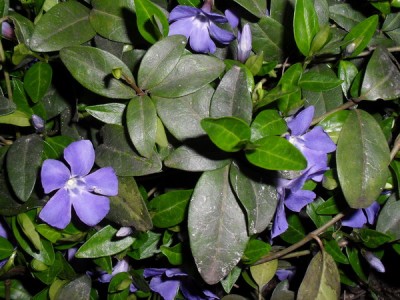 SDC12988_Bildgröße ändern.JPG