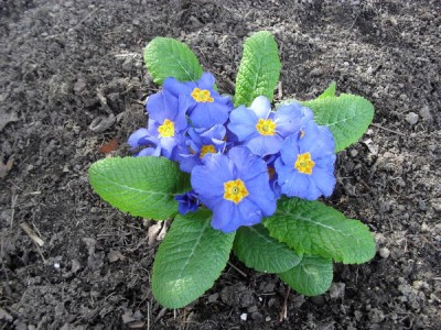 SDC12754_Bildgröße ändern.JPG