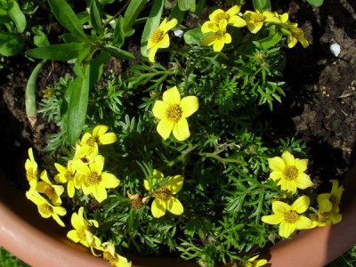 SDC13178_Bildgröße ändern.JPG