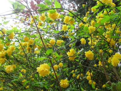 SDC13196_Bildgröße ändern.JPG