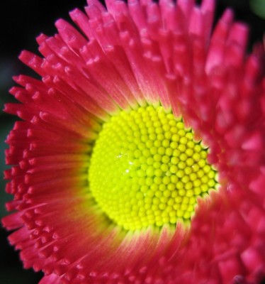 20100318_0001_6.JPG