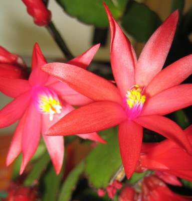 20100329_0001_2.JPG