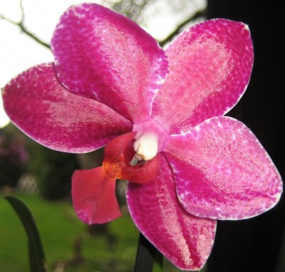 20100327_0001_12.JPG