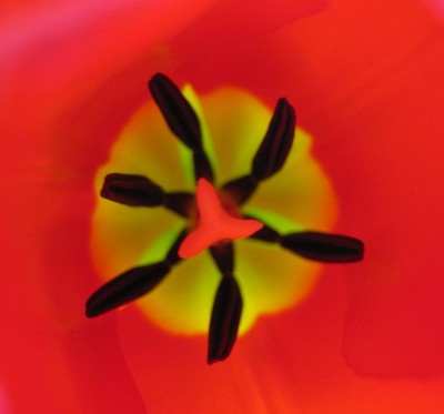 20100415_0001.JPG