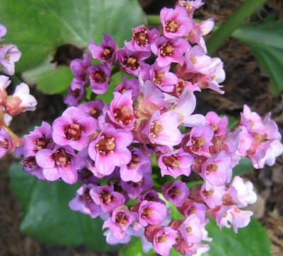 20100410_0001_8.JPG