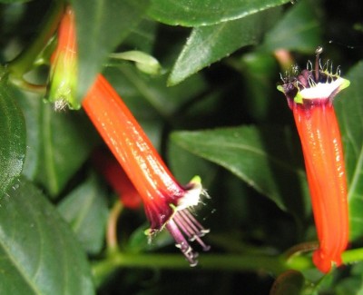 20100430_0001_6.JPG