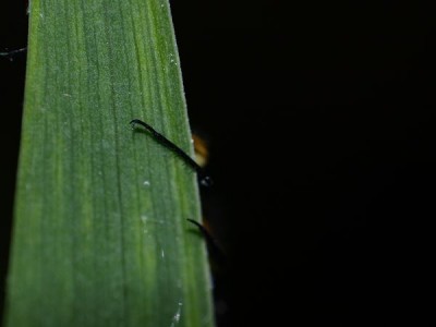 k-_5010867.JPG
