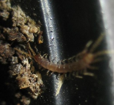 20100430_0001.JPG