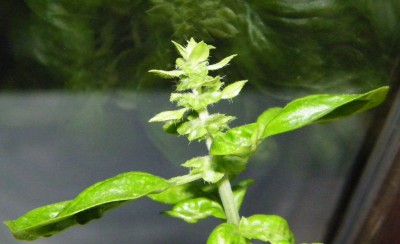 100_0717.JPG