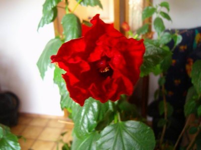100D8215.JPG