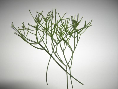 Großes Fragezeichen.jpg