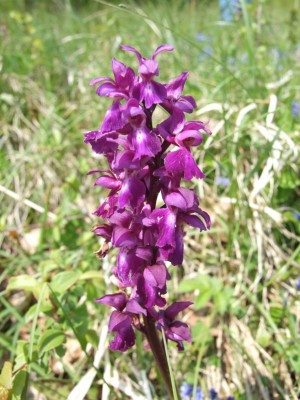 DSCF6503.JPG