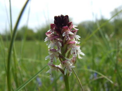 DSCF6566.JPG