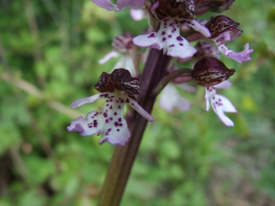 DSCF6552.JPG