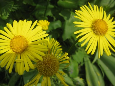 Bild 077 [1600x1200].jpg