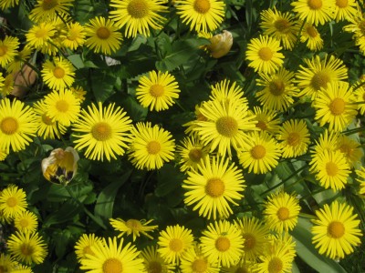 Bild 076 [1600x1200].jpg