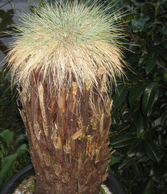 20100510_0001_6.JPG