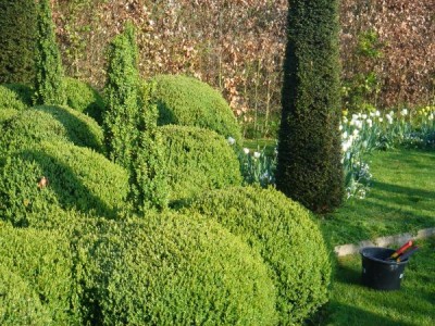 2094-Buxbaum-Kugeln.jpg