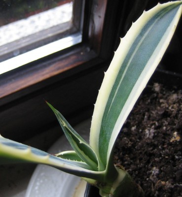 20100512_0001_1.JPG