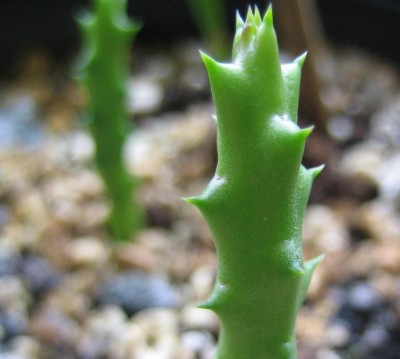 20100512_0001_2.JPG