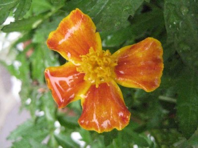 IMG_1885.JPG